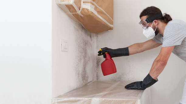 Professional Bathroom Mold Removal technician working in Hooversville, PA
