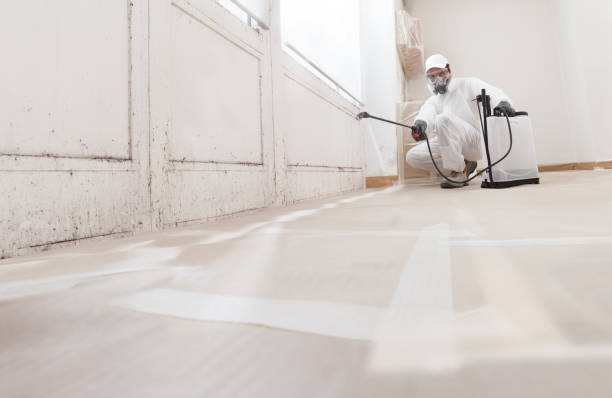 24/7 Emergency Bathroom Mold Removal experts in Hooversville, PA