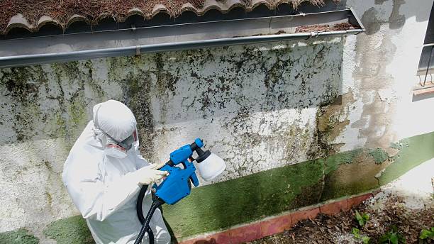 Trusted Bathroom Mold Removal service in Hooversville, PA - Cheap Mold Removal